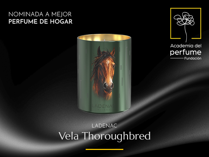 Vela Thoroughbred